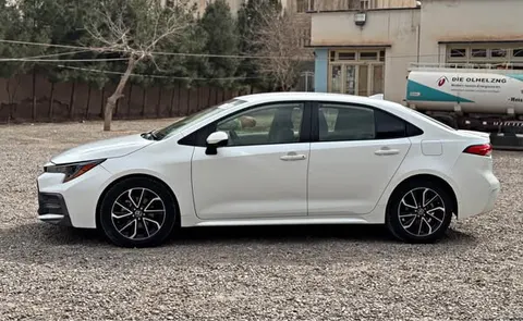 Toyota Corolla LE 2020