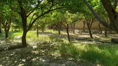 Land for sale, 300 m², Baba Yadgar, Mazar-i-Sharif