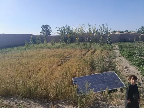 Walled garden for sale, 7 dang, Hazar Jerib, Guzara