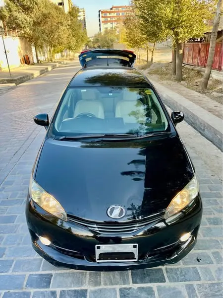 Toyota Fielder 2010