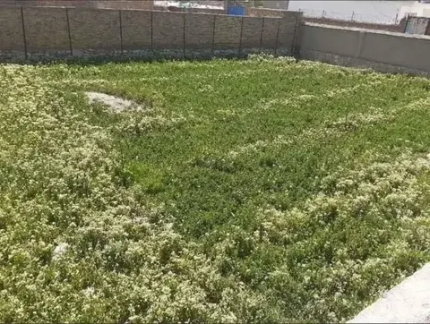 Land for sale, 12 biswa, Nau Burja, Chehelsotoon, Kabul