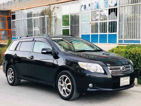Toyota Fielder 2007