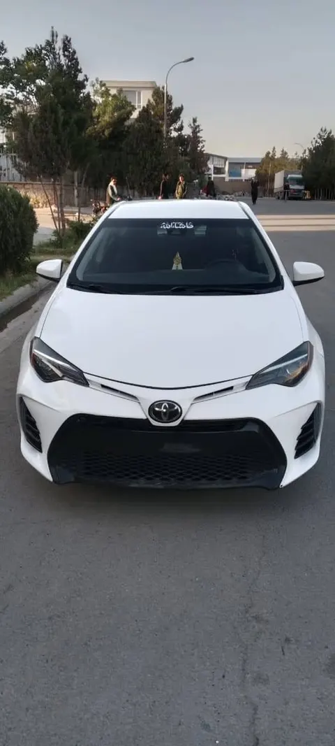 Toyota 2019