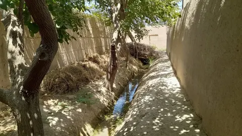 Vineyard garden for sale, 14.5 jerib, Nigari village, Mazar-i-Sharif