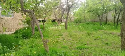 Land with two houses for sale, 5-18 biswa, Paghman