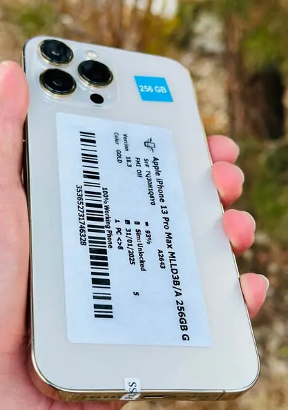 iPhone 13 Pro Max