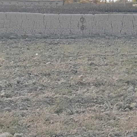 Farm land for sale, 35 jerib, near Pul-e Bangala, Balkh district