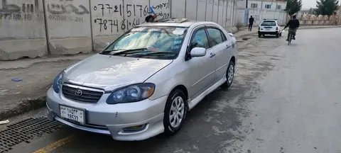 مالچه جاپانی 2006