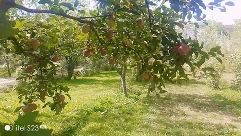 Garden for sale, 10 biswa, near Qasr Tapa, Paghman