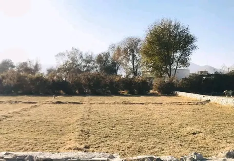 Land for sale, 8 biswa, Gul Bata, District 8, Kabul