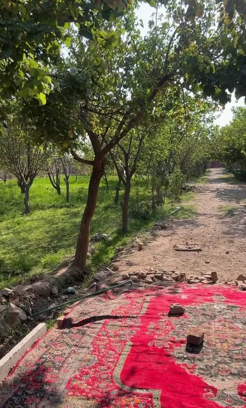 باغ 3 جریب در هرات، شهرک کهدستان