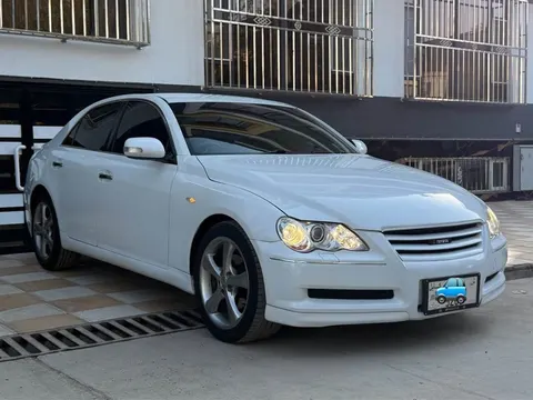 Toyota Mark X 2007 white