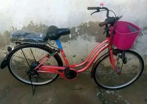 Japanese 6-Speed Bicycle with Front Basket and Rear Carrier