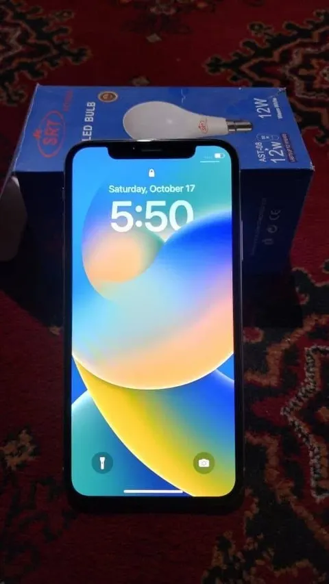 iPhone X 256GB White, Used