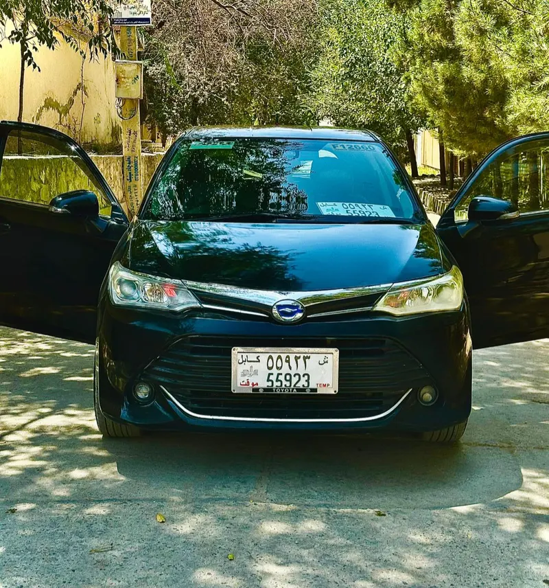 Toyota 2016 (1)