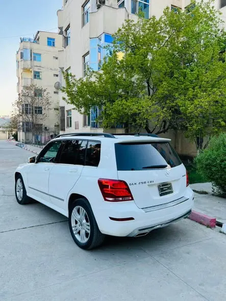 Mercedes-Benz 2014 (3)