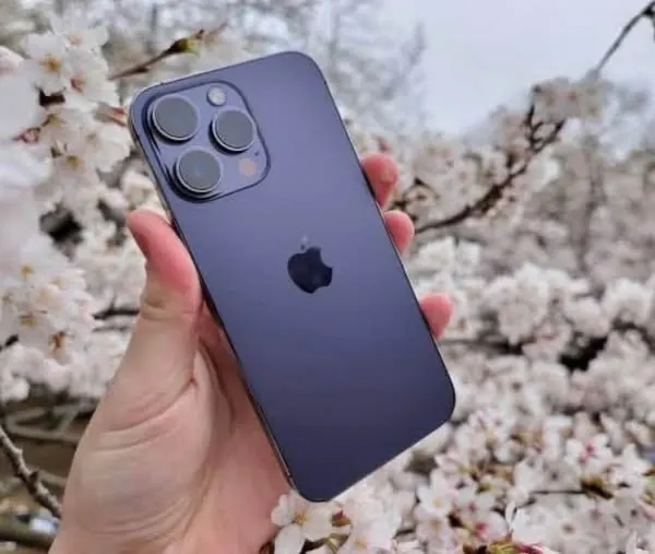 iPhone 14 Pro Max (1)