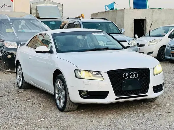Audi 2010 (2)