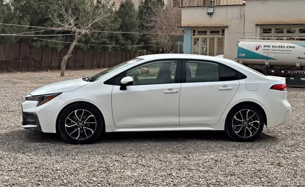 Toyota Corolla LE 2020 (1)