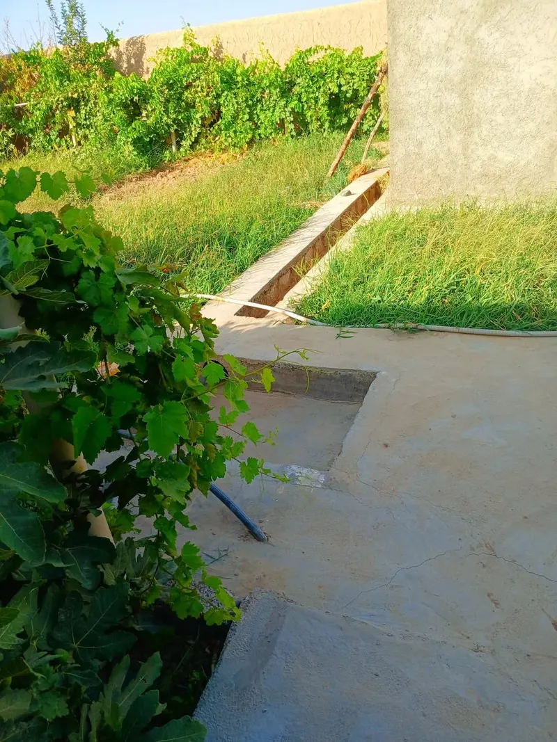 New garden for sale, 800 m², Deza, Guzara, Herat (4)