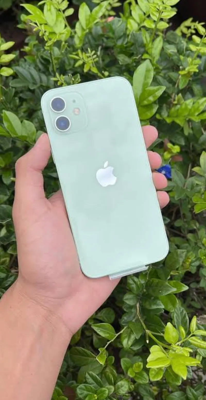 iPhone 12 (1)
