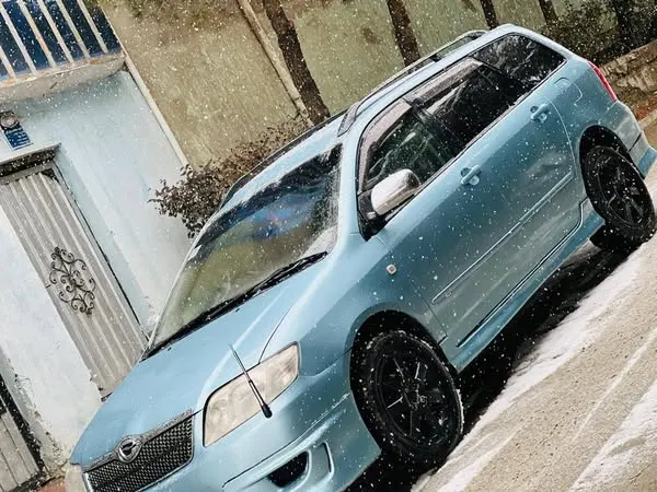 Toyota Fielder 2005 (1)
