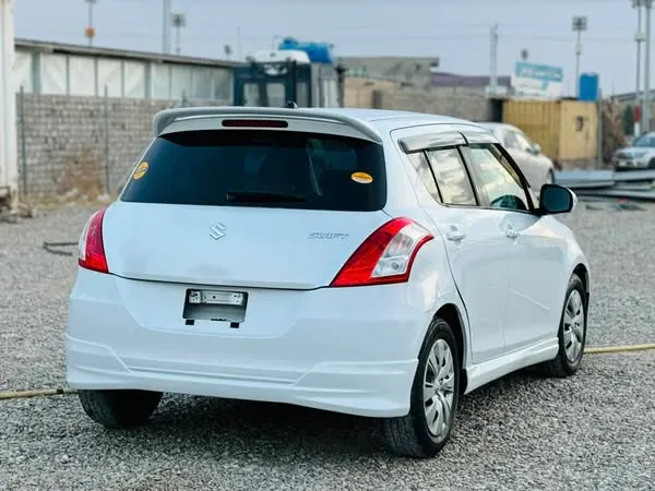 Suzuki 2011 (2)