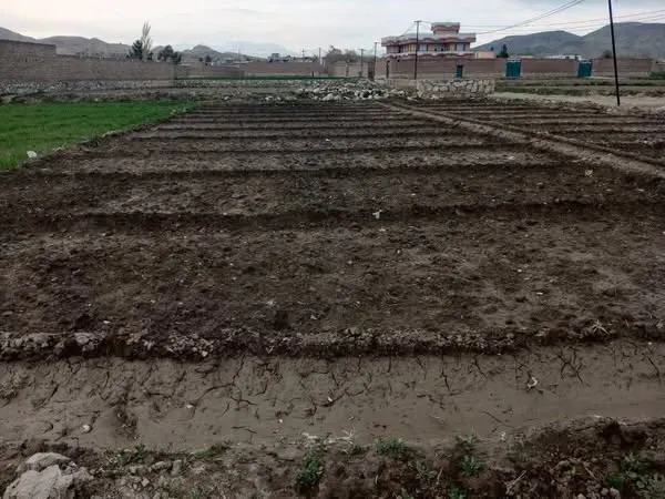 Farm land for sale, 7 biswa, Khairabad, Char Asiab, District 20 (2)