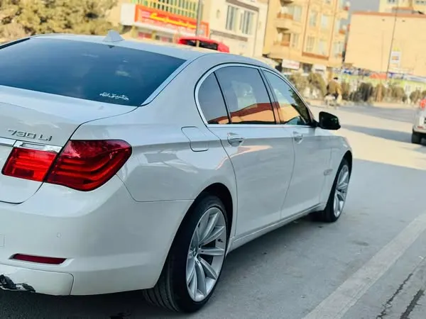 BMW 730Li 2015 (3)