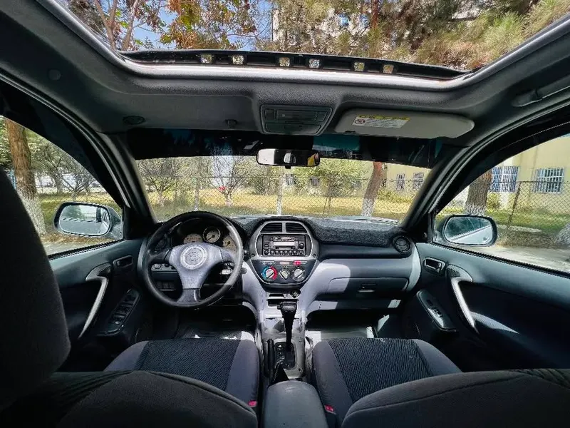 Toyota RAV4 2001 (4)