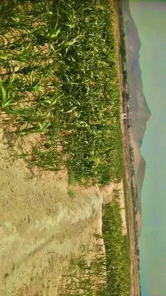 Farm land for sale, 5 jerib, Deh Sabz (2)