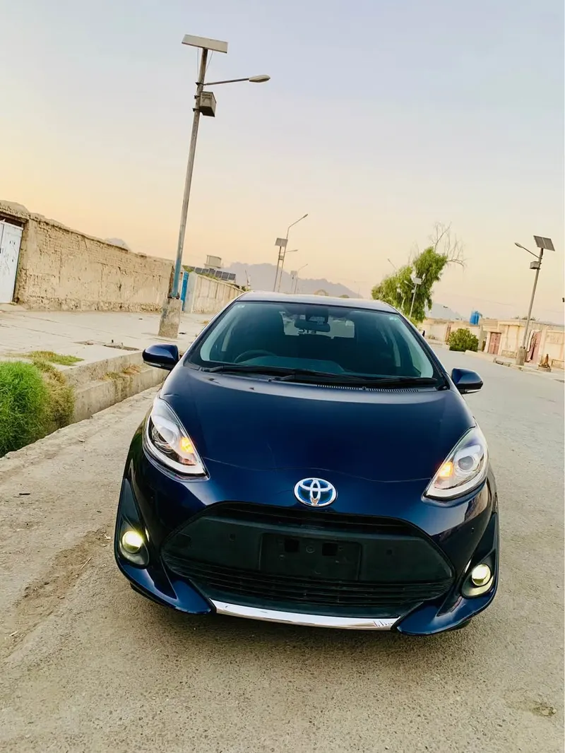 Toyota 2019 (2)