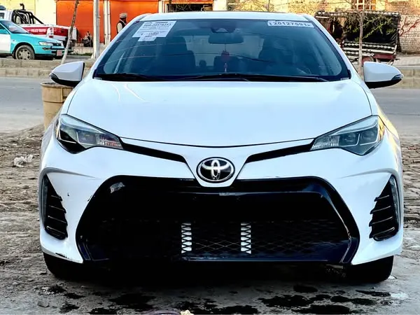 Toyota 2019 (1)