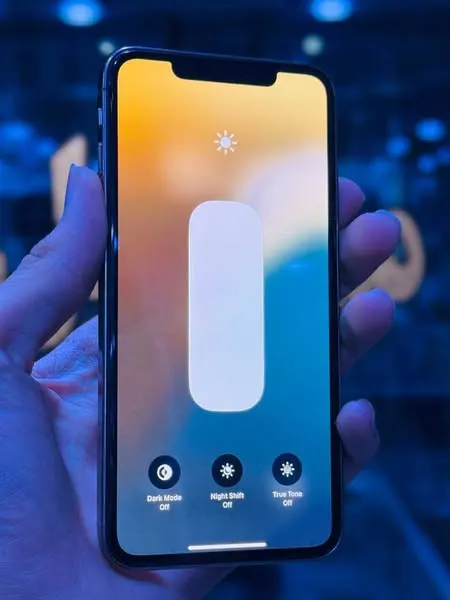 iPhone XS Max (2)