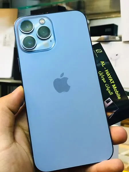 iPhone 13 Pro Max (1)