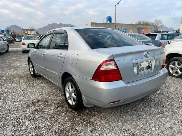 Toyota Corolla Luxel 2006 (3)