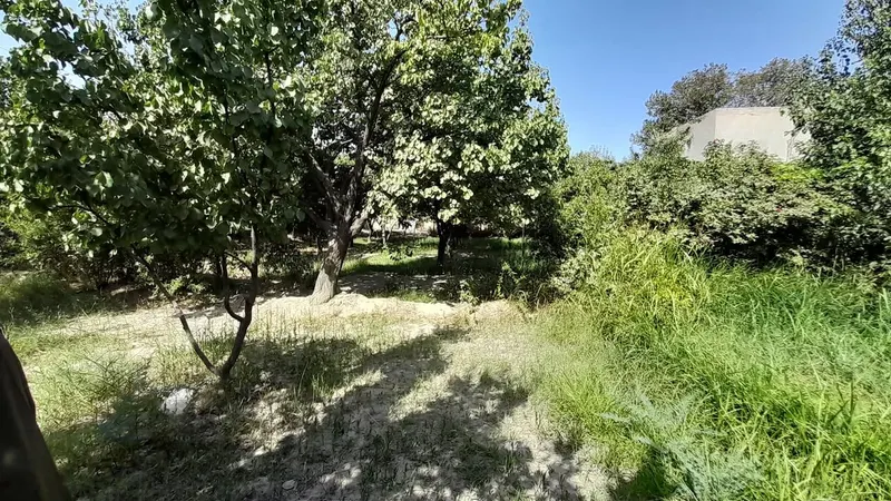 Land for sale, 300 m², Baba Yadgar, Mazar-i-Sharif (4)