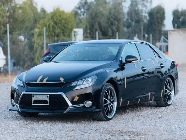 Toyota Mark X 2011 (1)