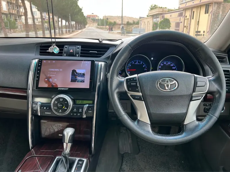 Toyota Mark X 2010 (2)