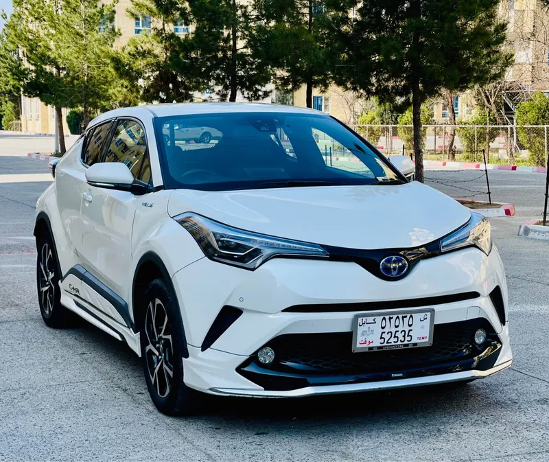 Toyota Hybrid 2017 (1)