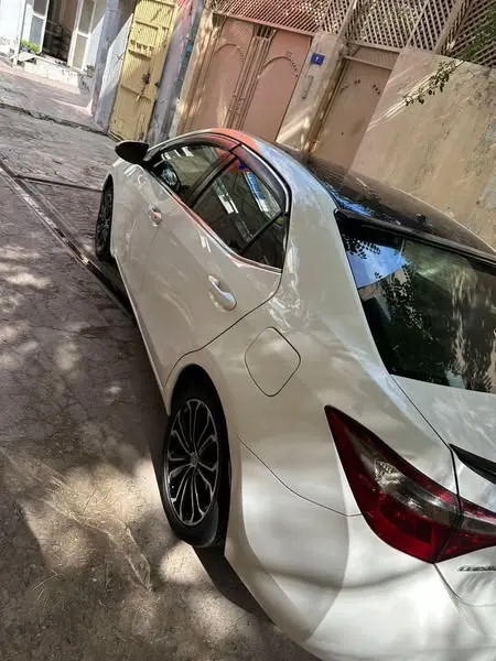 2014 Car (2)
