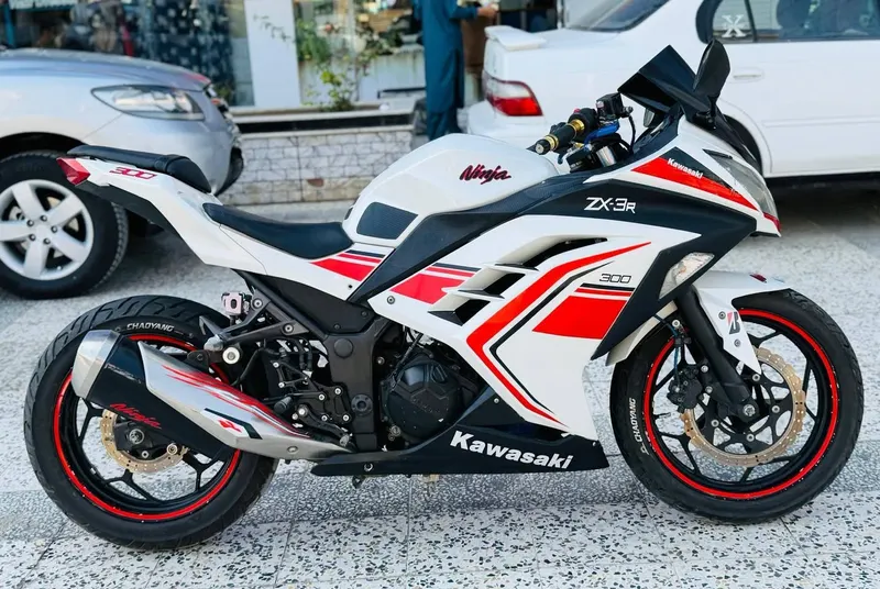Kawasaki Ninja 300 2019 (3)