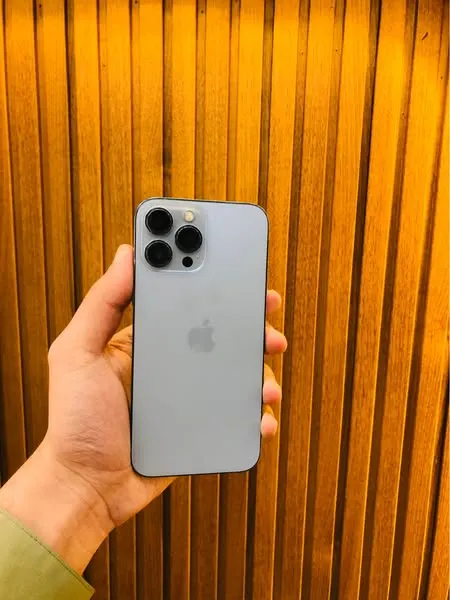 iPhone 13 Pro Max (1)