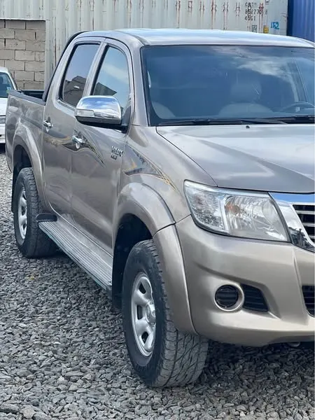 Toyota 2009 (2)