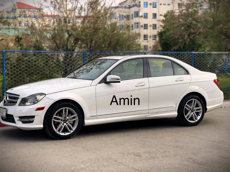 Mercedes-Benz 2014 (2)