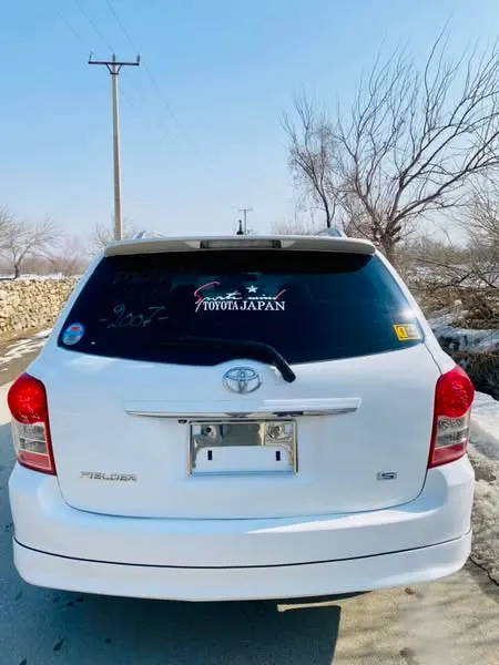 Toyota Fielder 2009 (3)