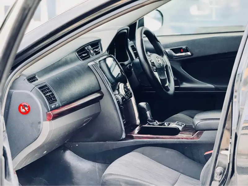 Toyota Mark X 2010 (4)