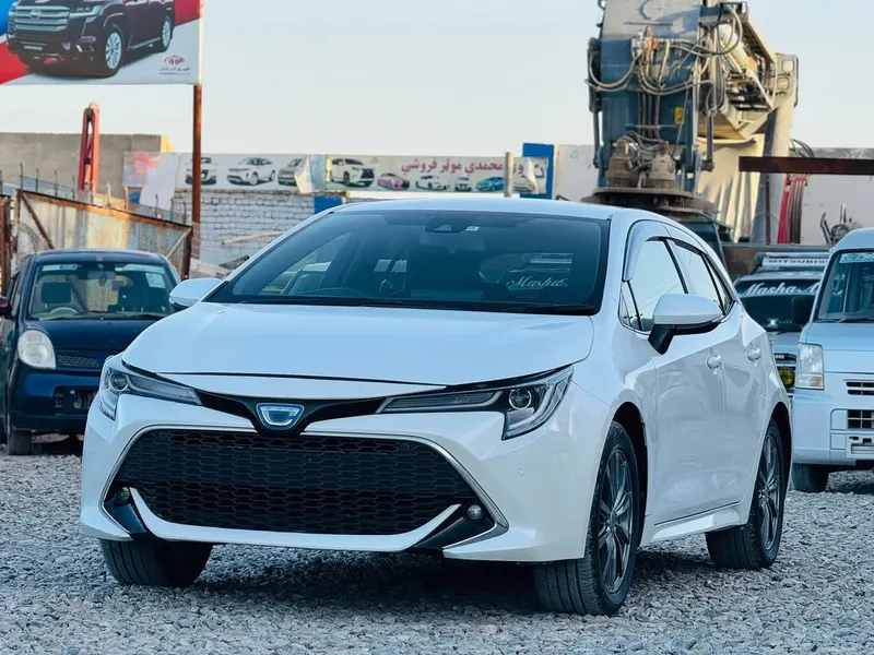 Toyota 2020 (1)