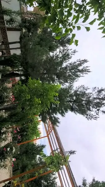 Leisure garden for sale, 1350 m², Bostan Road, Kabul (4)