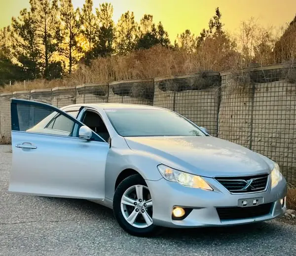Toyota Mark X 2011 (1)